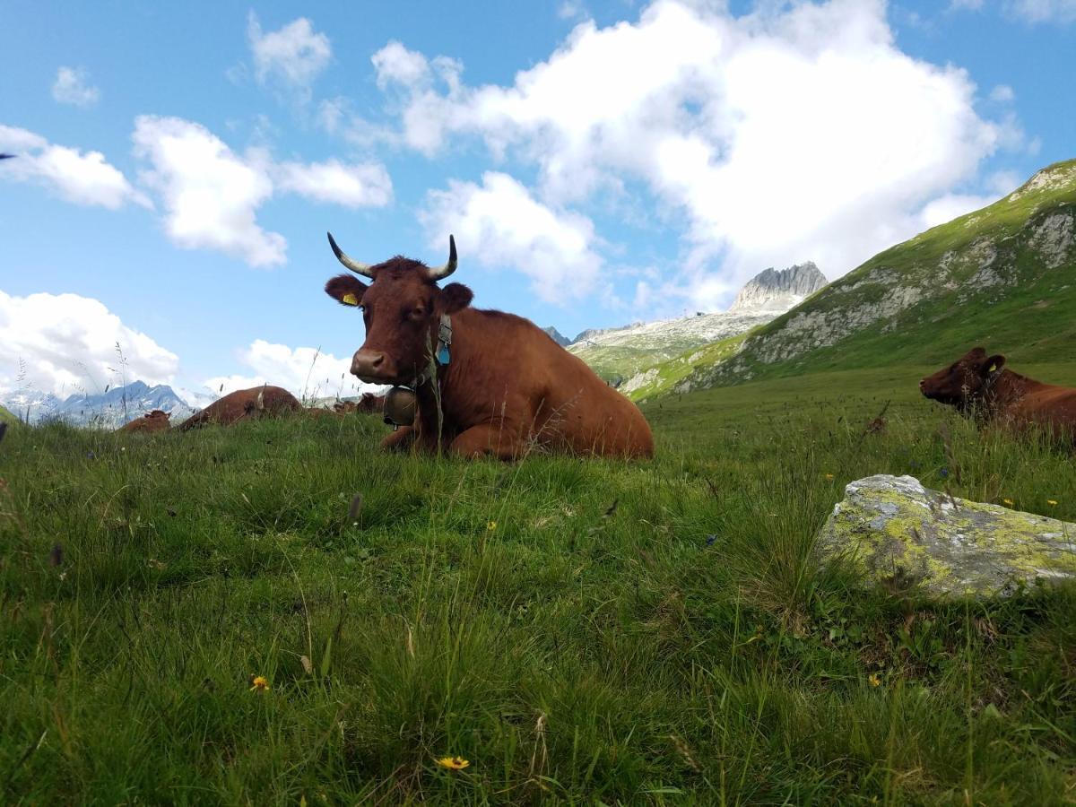 Tgesa Felici